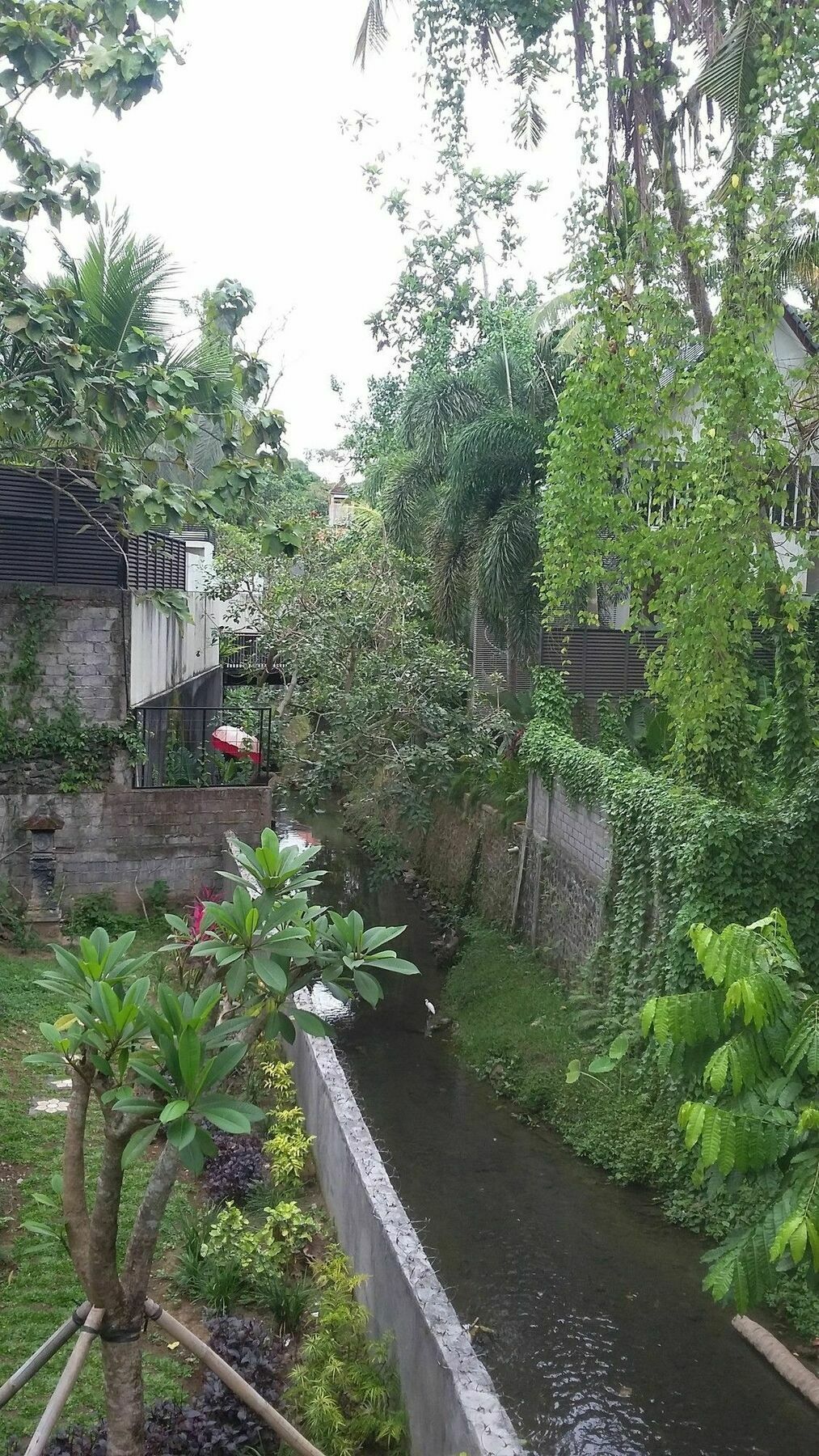 Argasoka Bungalows Ουμπούντ Εξωτερικό φωτογραφία