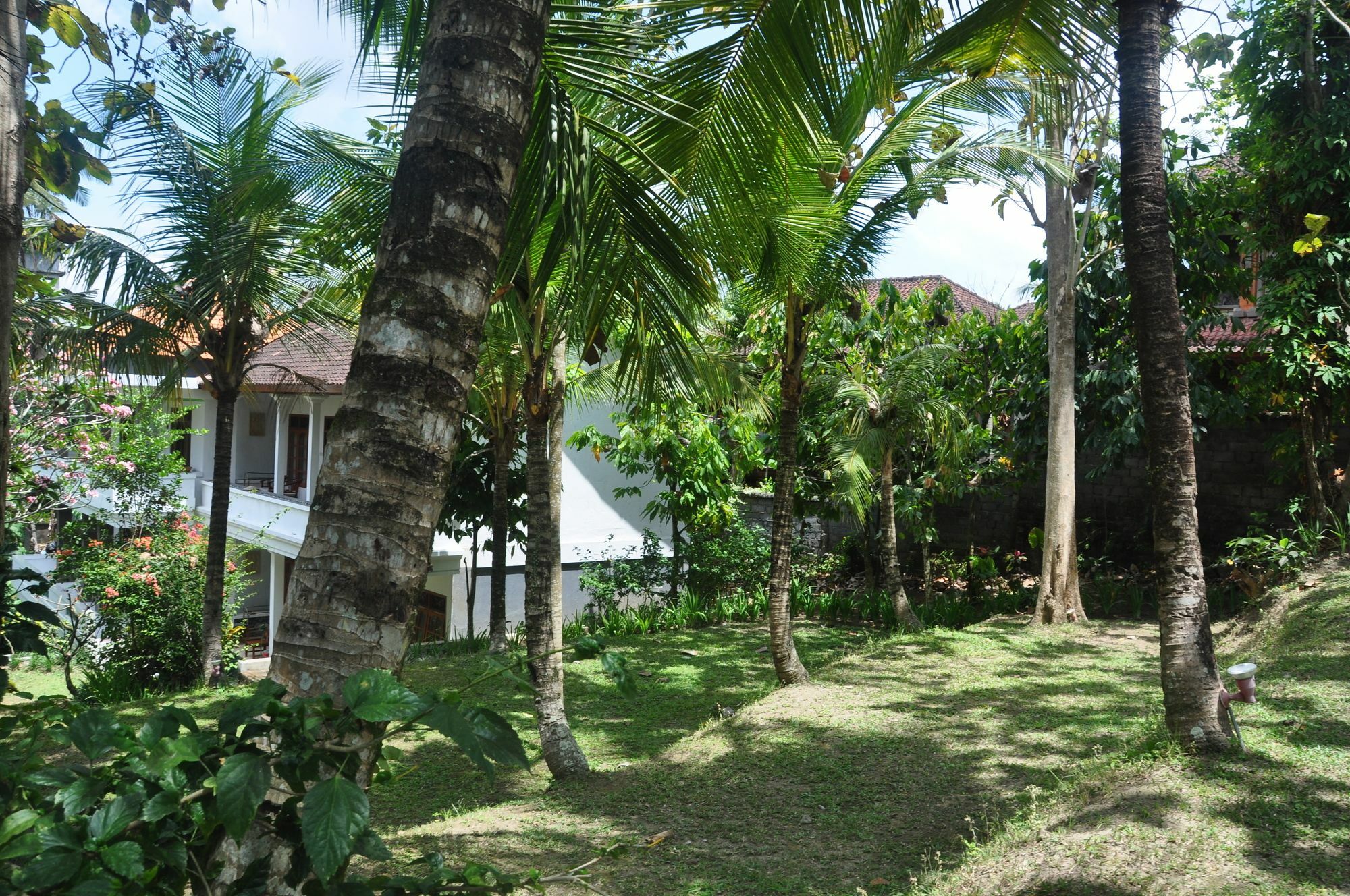 Argasoka Bungalows Ουμπούντ Εξωτερικό φωτογραφία
